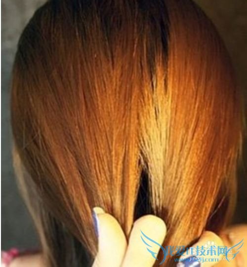 教你创意法式风情浪漫无限哦