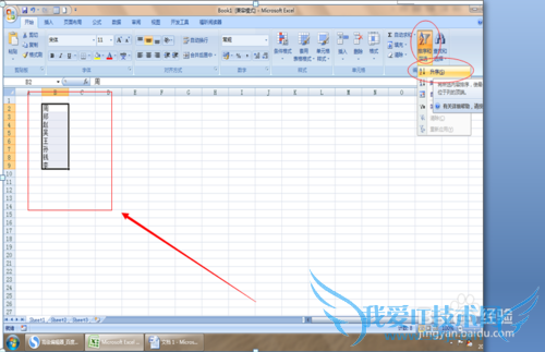 如何对Excel 2007对单元格中数据进行排序?