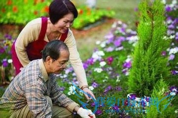 怎样度过春分(那些你不知道的秘密)