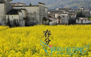 怎样度过春分(那些你不知道的秘密)