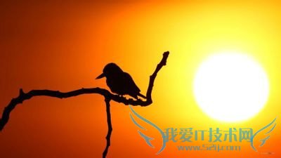 圣诞节我们没有朋友相邀,怎样度过孤单的时间呢