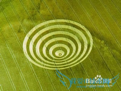 圣诞节我们没有朋友相邀,怎样度过孤单的时间呢