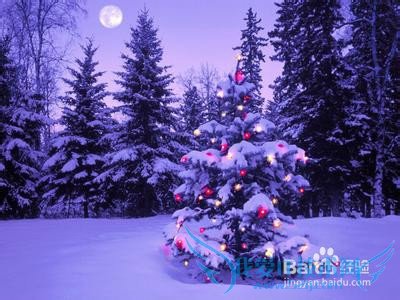 圣诞节我们没有朋友相邀,怎样度过孤单的时间呢