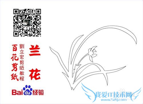 百花剪纸教程 兰花2(阴剪)刘立宏一剪刀剪纸