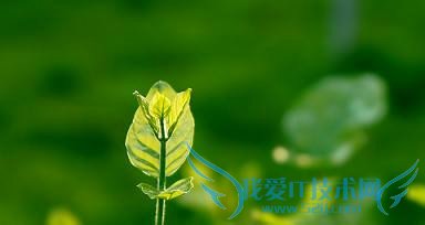 春分----抓住调整运气的好时机