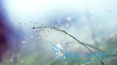 春分----抓住调整运气的好时机