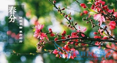 春分----抓住调整运气的好时机