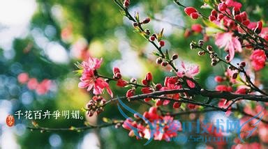 春分----抓住调整运气的好时机