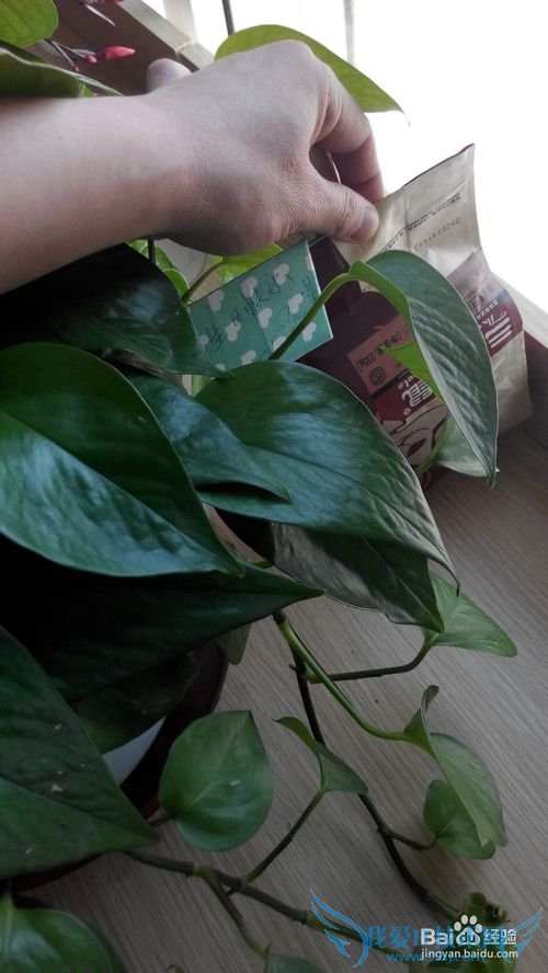 如何策划一个有趣的生日活动?