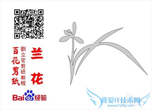 百花剪纸教程 兰花1(阴剪)刘立宏一剪刀剪纸