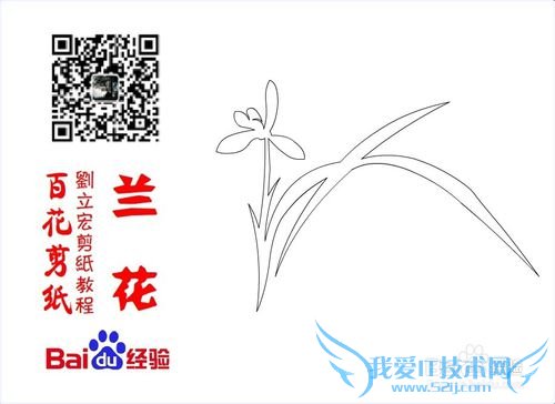 百花剪纸教程 兰花1(阴剪)刘立宏一剪刀剪纸