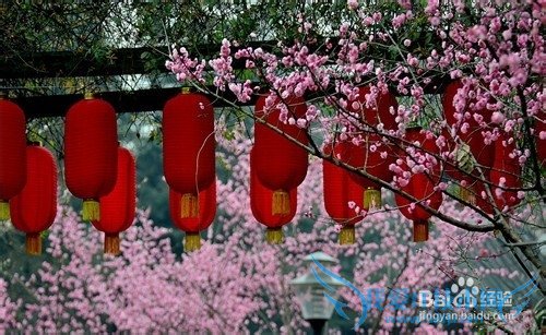 新年出行要注意哪些?