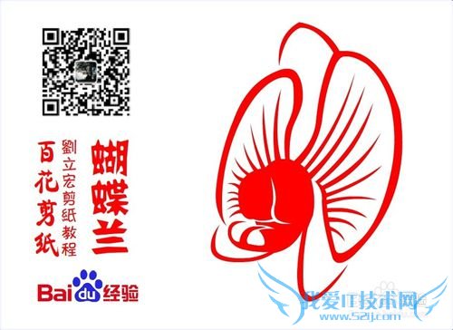 百花剪纸教程 蝴蝶兰2(纹样)刘立宏一剪刀剪纸