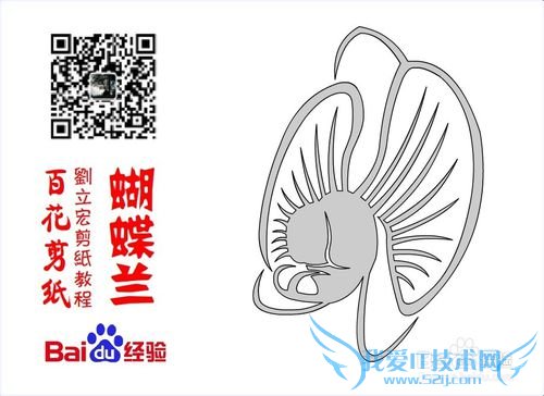 百花剪纸教程 蝴蝶兰2(纹样)刘立宏一剪刀剪纸