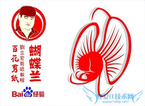 百花剪纸教程 蝴蝶兰2(纹样)刘立宏一剪刀剪纸