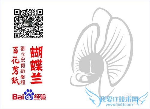 百花剪纸教程 蝴蝶兰2(纹样)刘立宏一剪刀剪纸