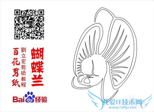 百花剪纸教程 蝴蝶兰2(纹样)刘立宏一剪刀剪纸