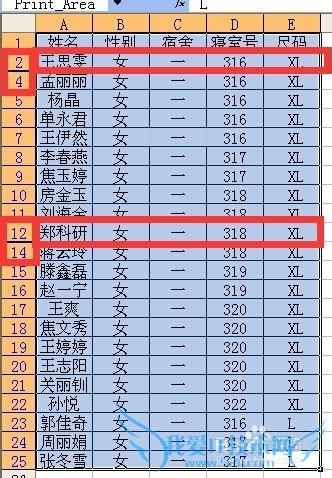 excel߼ɸѡѡظ¼ַʽĲ