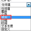 excel2010设置数据有效性的两种方法