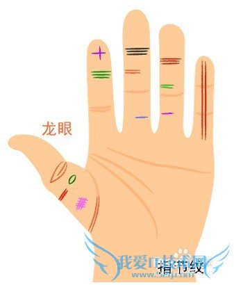 教你怎么看手相