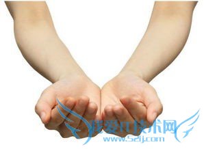 教你怎么看手相