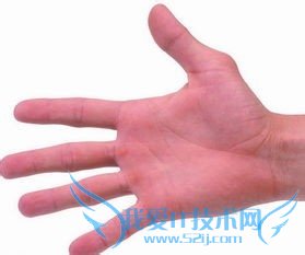 教你怎么看手相