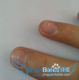 教你怎么看手相