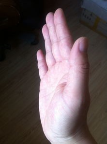 教你怎么看手相