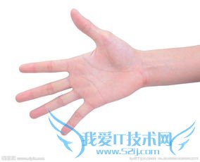 教你怎么看手相