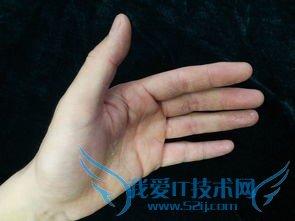 教你怎么看手相