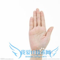 教你怎么看手相