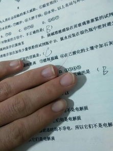 教你怎么看手相