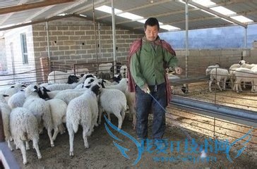 浅谈羊病的防止!