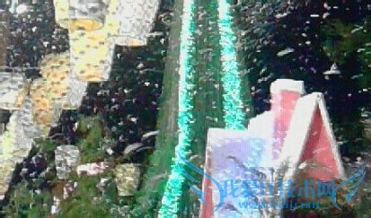 圣诞节如何去凑热闹