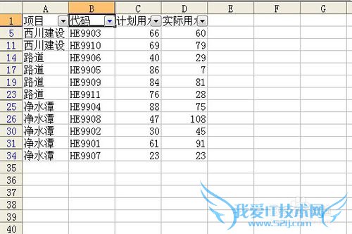 EXCEL自动筛选自定义条件“始于”应用一例