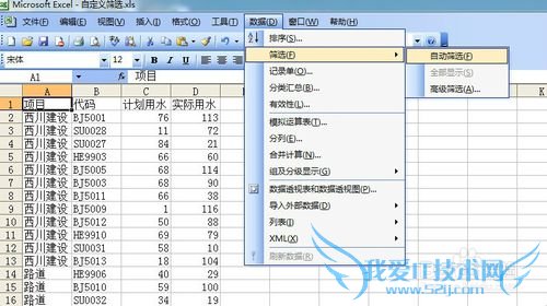 EXCEL自动筛选自定义条件“始于”应用一例