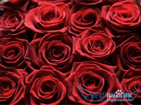 送花应注意什么