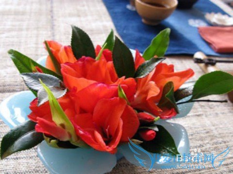 送花应注意什么