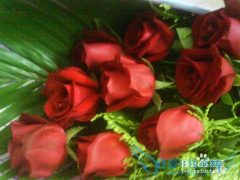 送花应注意什么