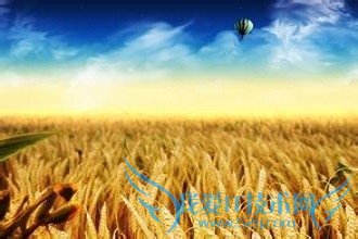 怎样让你快乐起来