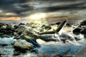 怎样让你快乐起来