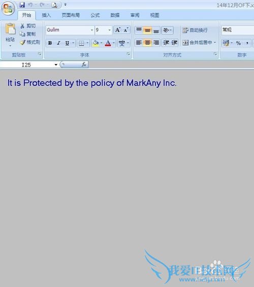有文件保护系统的EXCEL文件怎么截图