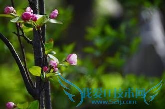 关于立夏,你都知道这些吗?