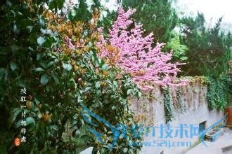 关于立夏,你都知道这些吗?