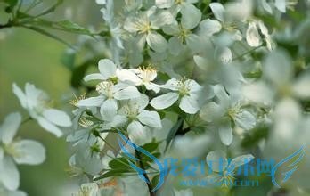 关于立夏,你都知道这些吗?