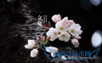 关于立夏,你都知道这些吗?