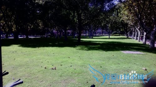 纪念自己的过去