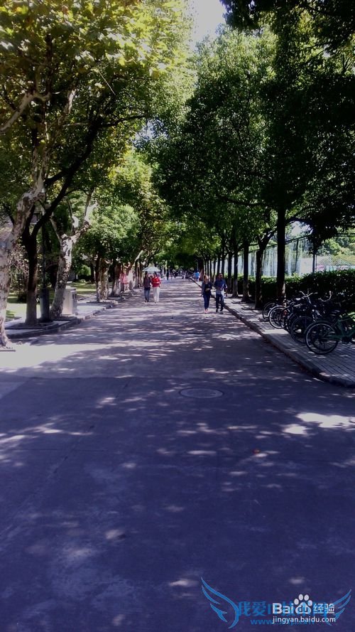 纪念自己的过去