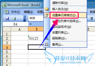 excel2003ǰôʾ0