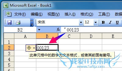 excel2003ǰôʾ0